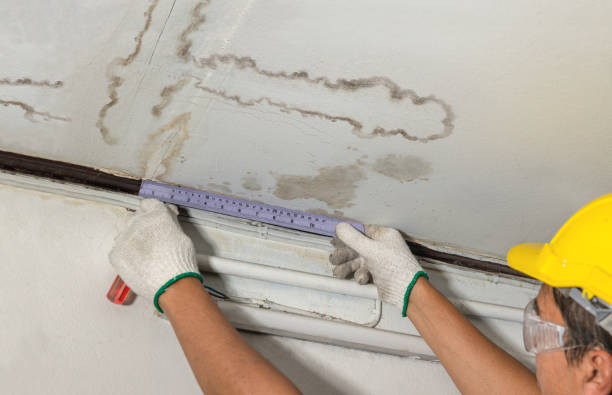 Reliable Mold Remediation contractor in Auburndale, WI by Water Damage Irwin